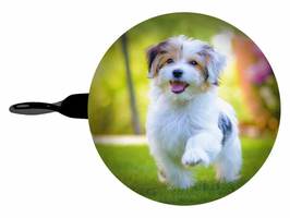 Bb klostermann bbeBells F.-Klingel bunter Hund