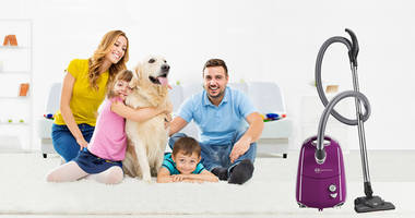 Sebo Sebo Bodensauger Airbelt E1 Purple