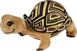 Vedes Schule der magischen Tiere Schildkröte Henrietta
